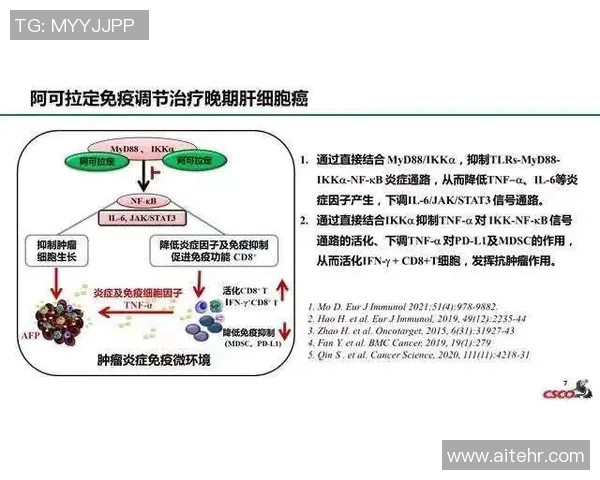 围绕球队战术创新与调整提升整体竞技水平的策略研究与实践