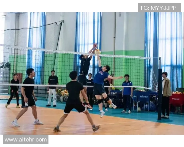 重庆排球队的团队协作之道：团结拼搏成就排球梦想